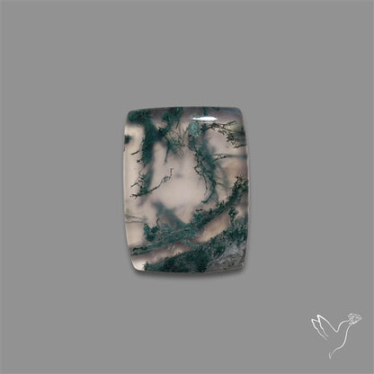 Moss Agate Cabochon