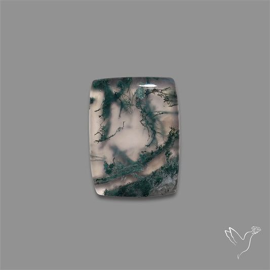 Moss Agate Cabochon
