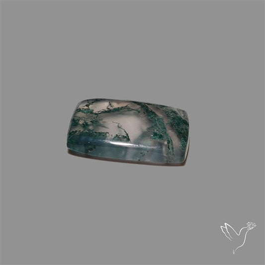 Moss Agate Cabochon