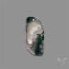 Moss Agate Cabochon