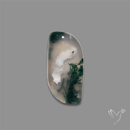 Moss Agate Cabochon