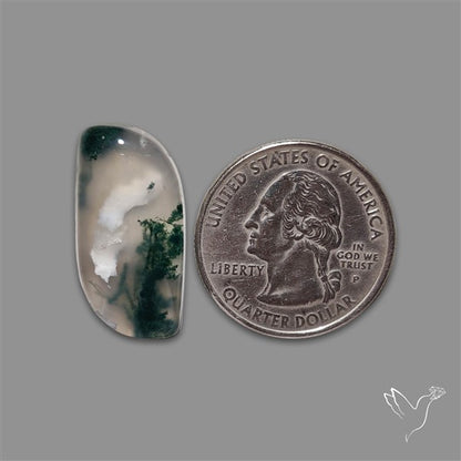 Moss Agate Cabochon
