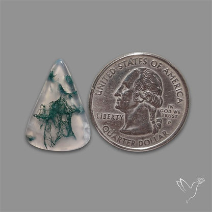 Moss Agate Cabochon