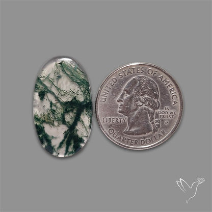 Moss Agate Cabochon