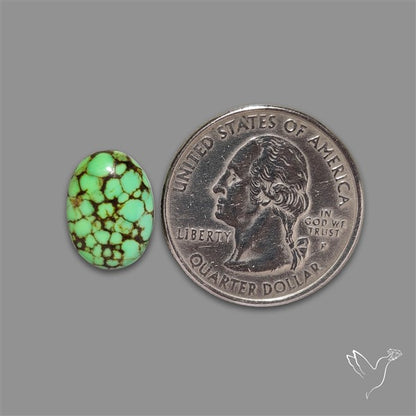 Rare Natural Green Hubei Turquoise Cabochon