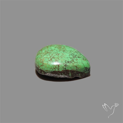 Rare Natural Green Hubei Turquoise Cabochon