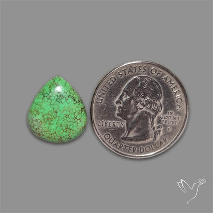 Rare Natural Green Hubei Turquoise Cabochon