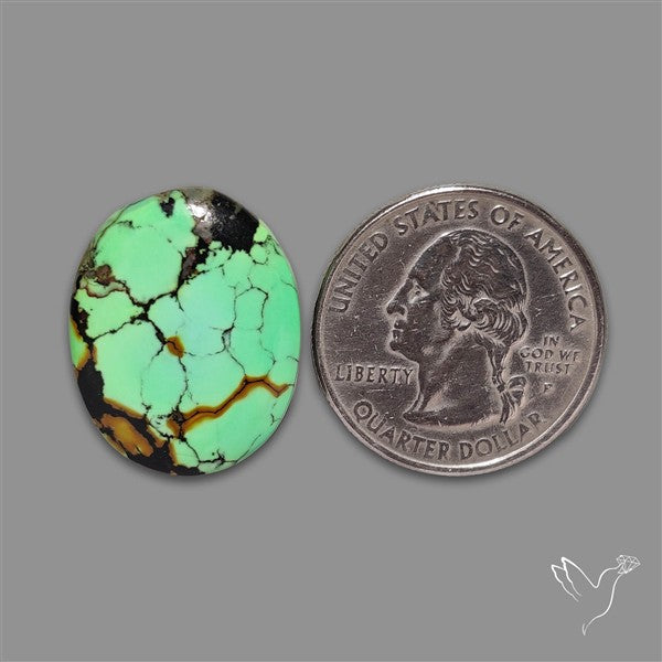Rare Natural Green Hubei Turquoise Cabochon (uneven at back)