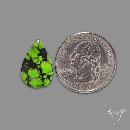 Rare Natural Green Hubei Turquoise Cabochon