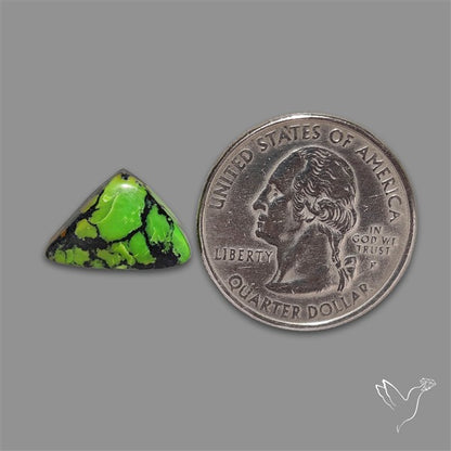 Rare Natural Green Hubei Turquoise Cabochon