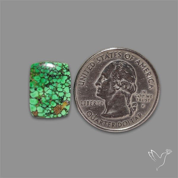 Rare Natural Green Hubei Turquoise Cabochon