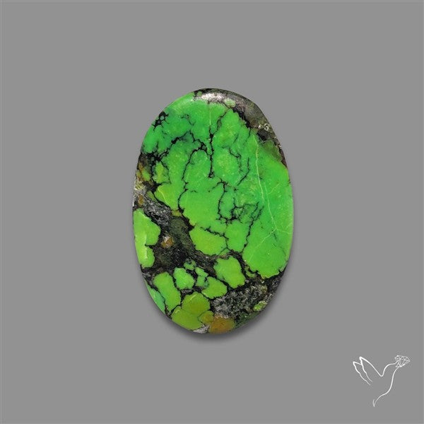 Rare Natural Green Hubei Turquoise Cabochon