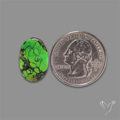 Rare Natural Green Hubei Turquoise Cabochon