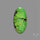 Rare Natural Green Hubei Turquoise Cabochon