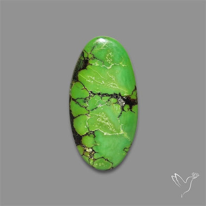Rare Natural Green Hubei Turquoise Cabochon