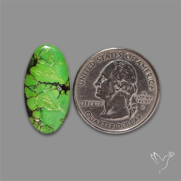Rare Natural Green Hubei Turquoise Cabochon