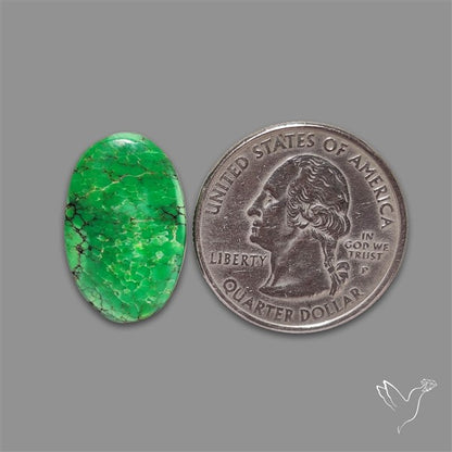 Rare Natural Green Hubei Turquoise Cabochon
