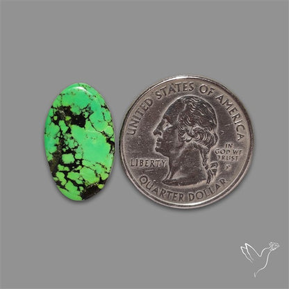 Rare Natural Green Hubei Turquoise Cabochon