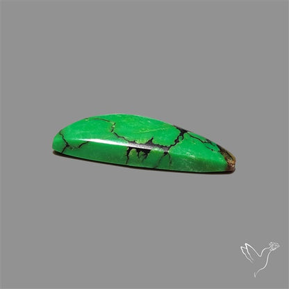 Rare Natural Green Hubei Turquoise Cabochon