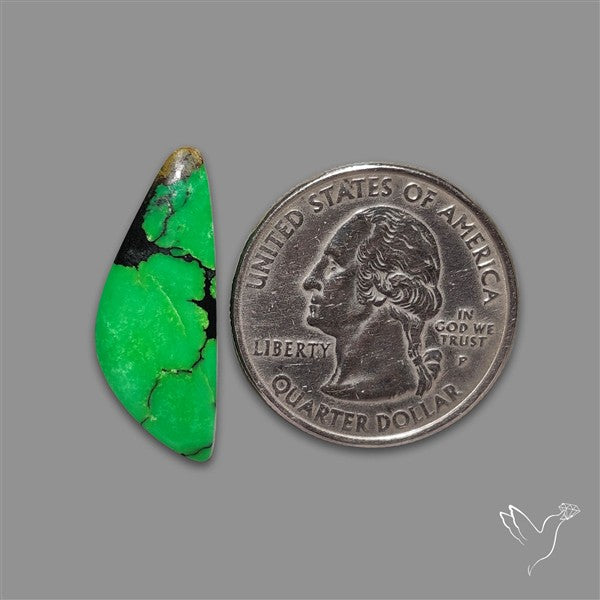 Rare Natural Green Hubei Turquoise Cabochon