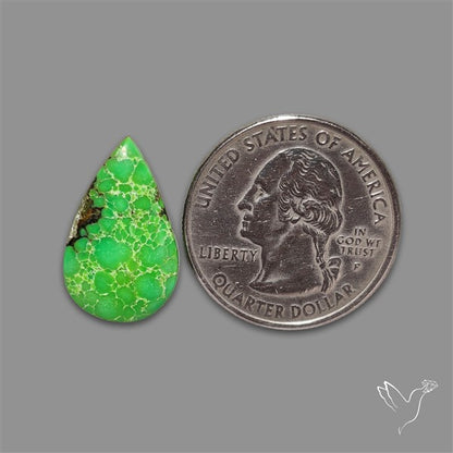 Rare Natural Green Hubei Turquoise Cabochon