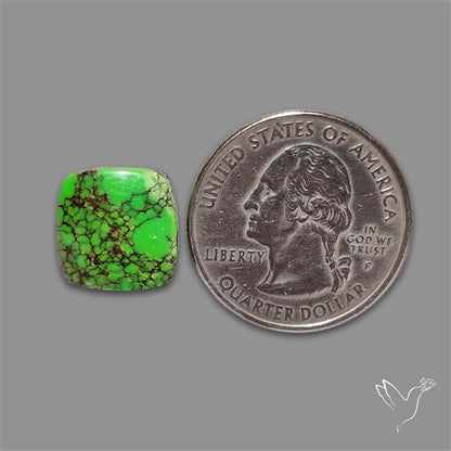Rare Natural Green Hubei Turquoise Cabochon