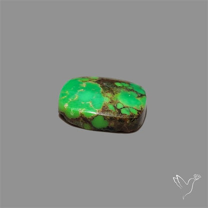 Rare Natural Green Hubei Turquoise Cabochon
