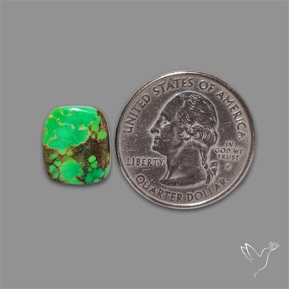 Rare Natural Green Hubei Turquoise Cabochon
