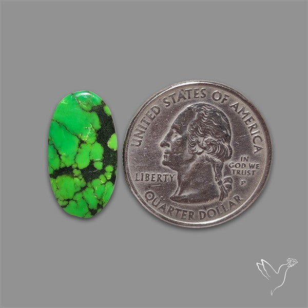 Rare Natural Green Hubei Turquoise Cabochon