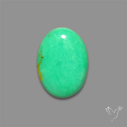 Australian Variscite Cabochon