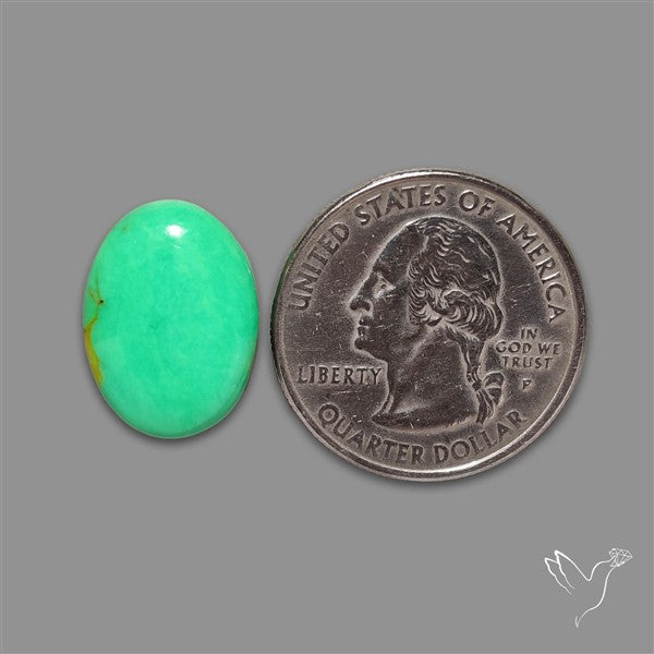 Australian Variscite Cabochon