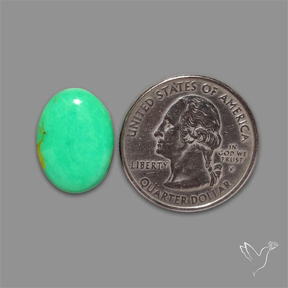 Australian Variscite Cabochon