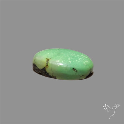 Australian Variscite Cabochon