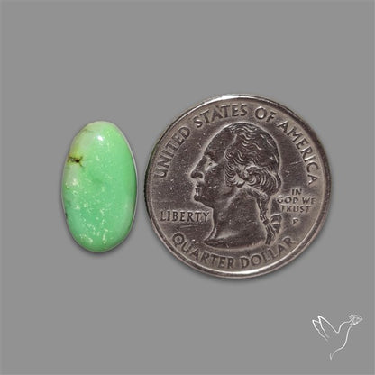 Australian Variscite Cabochon