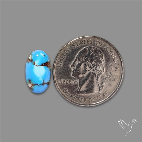 Rare Golden Hill Turquoise Cabochon