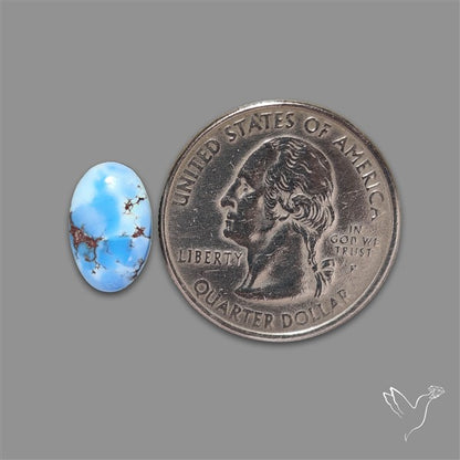 Rare Golden Hill Turquoise Cabochon (backed)