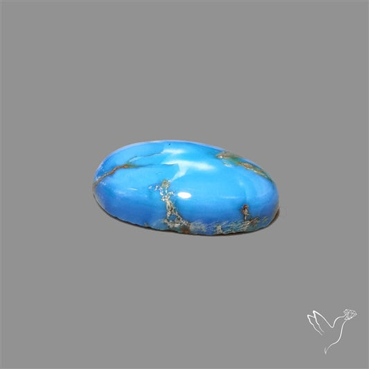 Rare Golden Hill Turquoise Cabochon