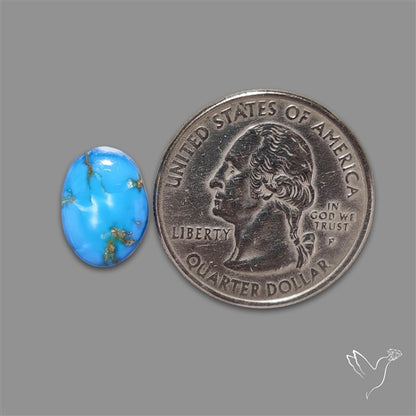 Rare Golden Hill Turquoise Cabochon