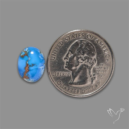 Rare Golden Hill Turquoise Cabochon