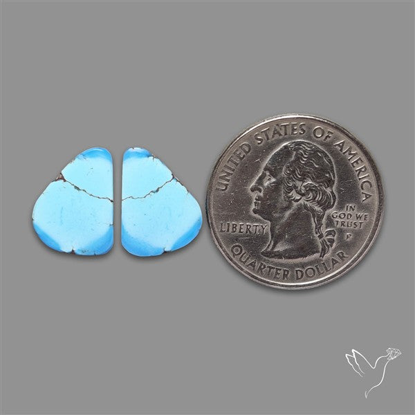 Rare Golden Hill Turquoise Pair