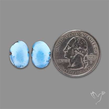 Rare Golden Hill Turquoise Pair