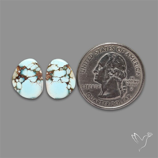 Rare Golden Hill Turquoise Pair