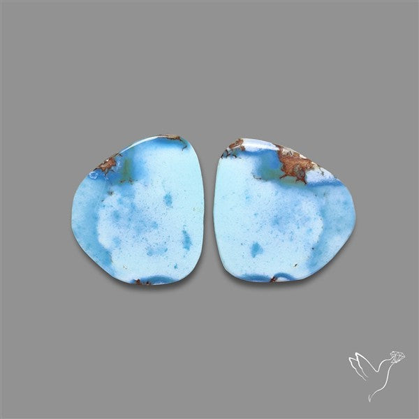 Rare Large Golden Hill Turquoise Pair