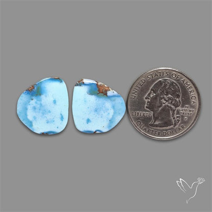 Rare Large Golden Hill Turquoise Pair