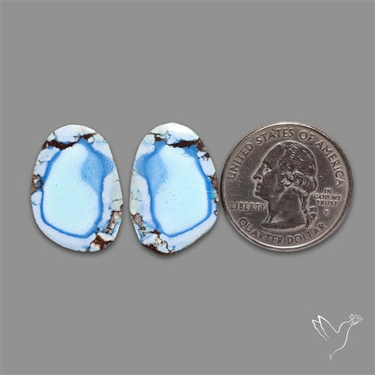 Rare Large Golden Hill Turquoise Pair