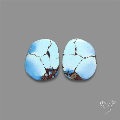 Rare Golden Hill Turquoise Pair
