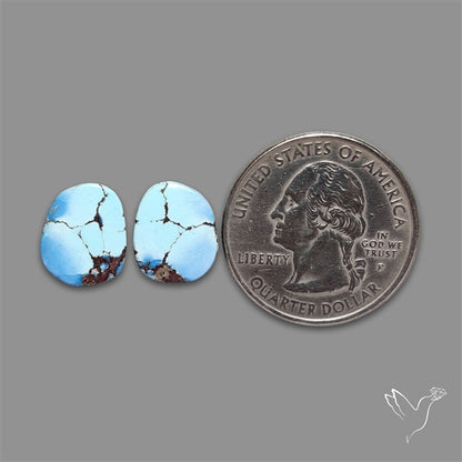 Rare Golden Hill Turquoise Pair