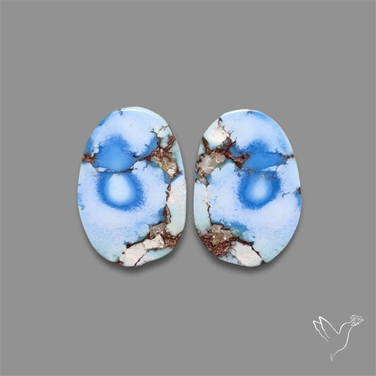 Rare Golden Hill Turquoise Pair