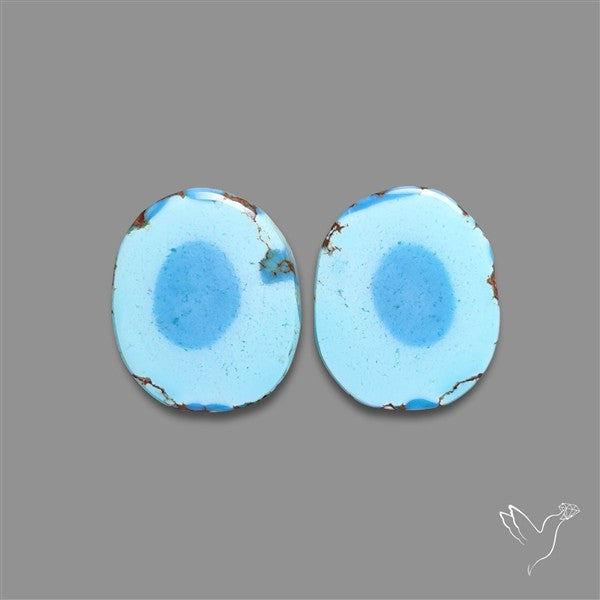 Rare Large Golden Hill Turquoise Pair