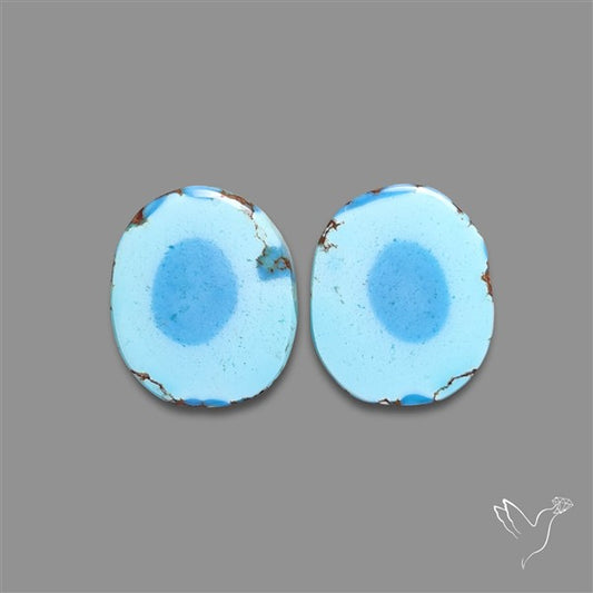 Rare Large Golden Hill Turquoise Pair